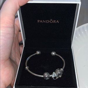 Pandora Bracelet
